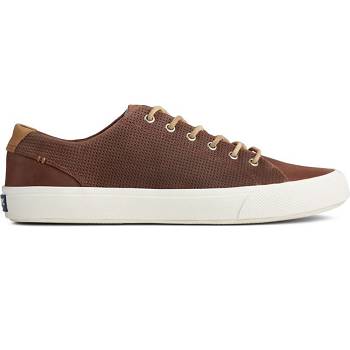 Sperry Striper Plushwave Hnede - Panske Tenisky